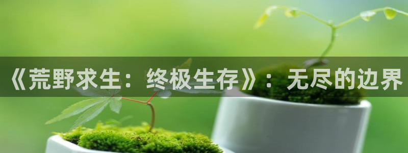 《荒野求生：终极生存》：无尽的边界